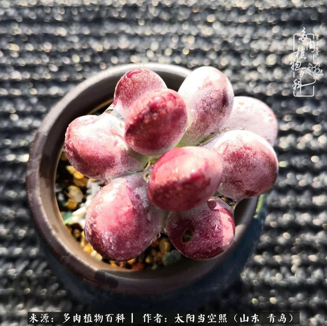 离家在外才发现最难忘的是故乡情,离家在外看见家乡的东西