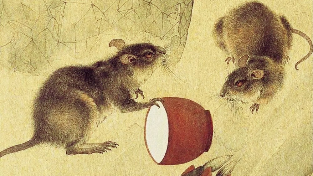 为什么说老鼠才是十二生肖的老大,为什么老鼠可以成为十二生肖之首