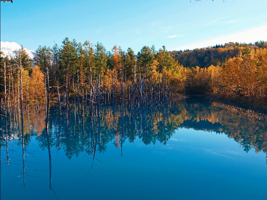 日本从南到北旅游路线,从南游到北