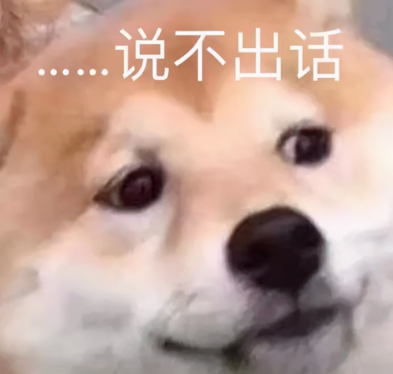 这些护肤品不要买了！好吗？