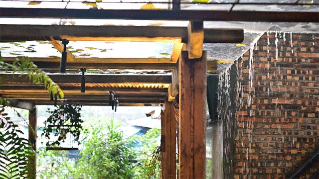 人气爆红的烧烤场，藏在了650㎡的校园课室里