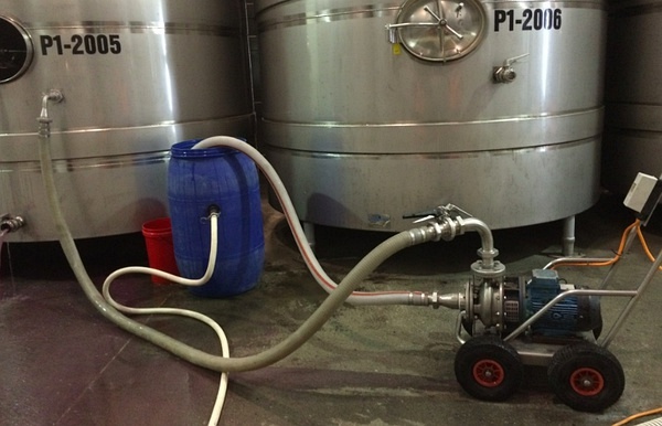 在新西兰果园工作累吗,在新西兰酿造葡萄酒