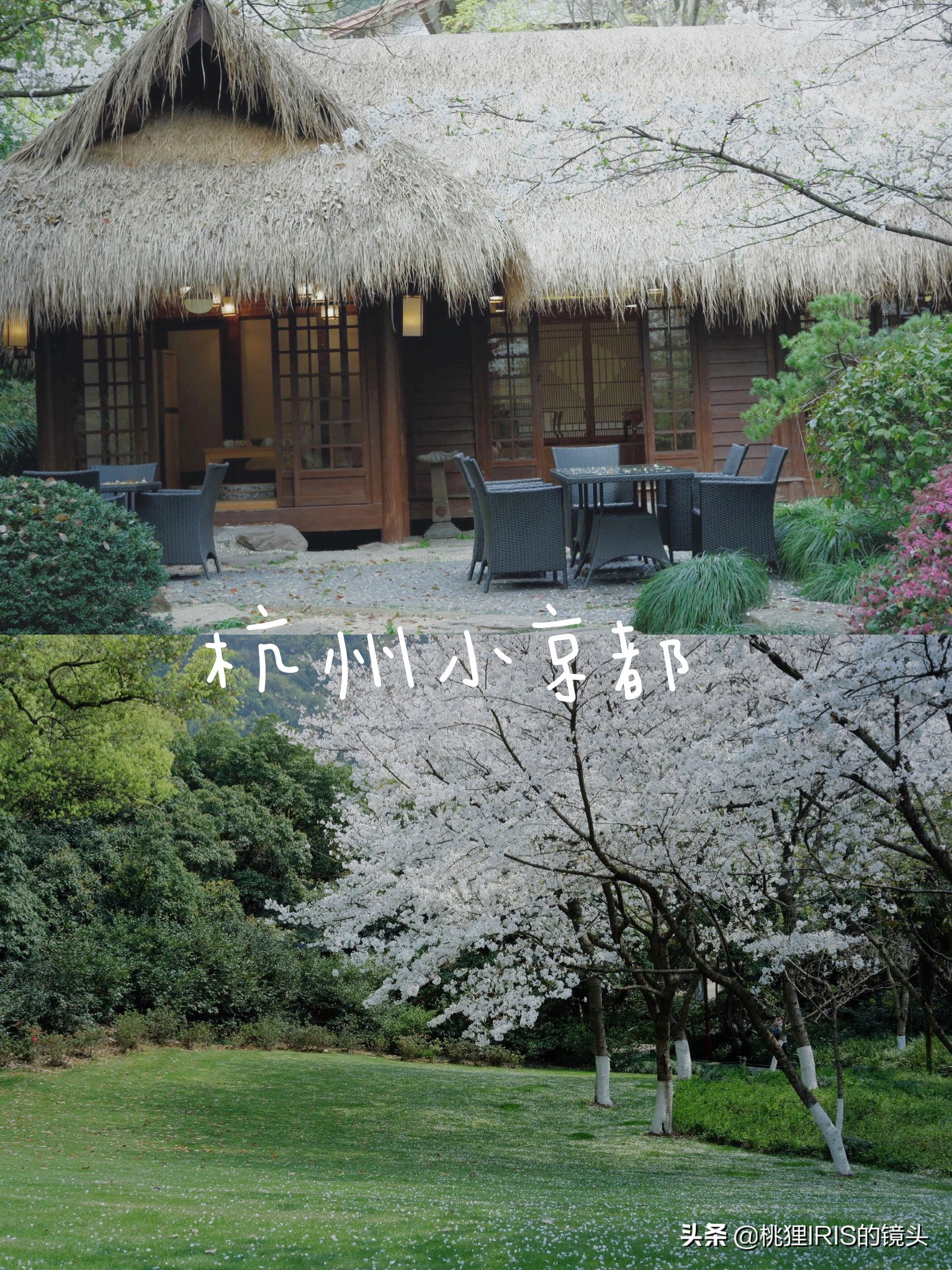 杭州小济州岛春游野营度假,良渚小奈良一日游