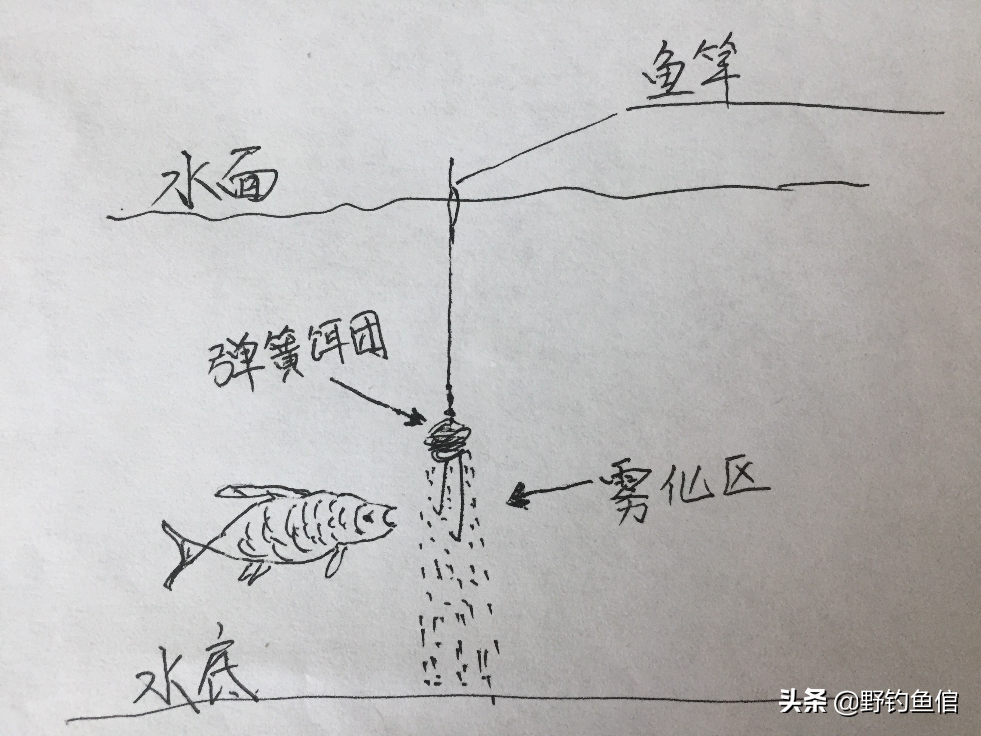 钓鲢鱼，千万别等黑漂再提竿（附手绘鲢鱼咬钩图）