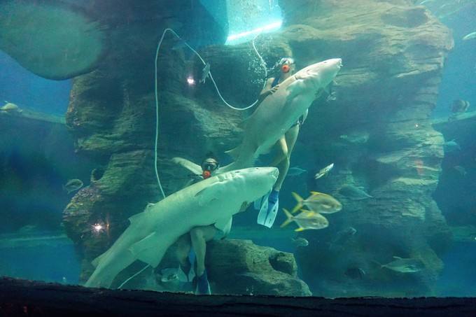 北海哪家婚纱摄影好，2019年北海最完整的旅游攻略