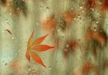 半路夫妻靠不住的意思,半路夫妻靠谁都靠不住