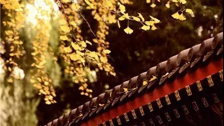 中考英语作文高级句型100句,中考英语句型