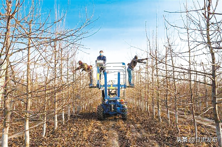 关于脱贫攻坚决战决胜之年的文章,决战决胜脱贫攻坚年