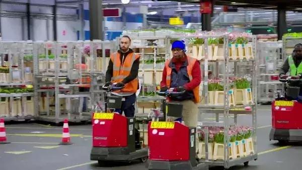 世界第一鲜花市场视频,bbc探秘墨西哥毒品战争