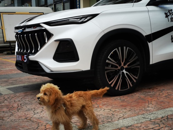 欧尚x5锋芒白车漆,长安欧尚x5plus补漆笔锋芒白色