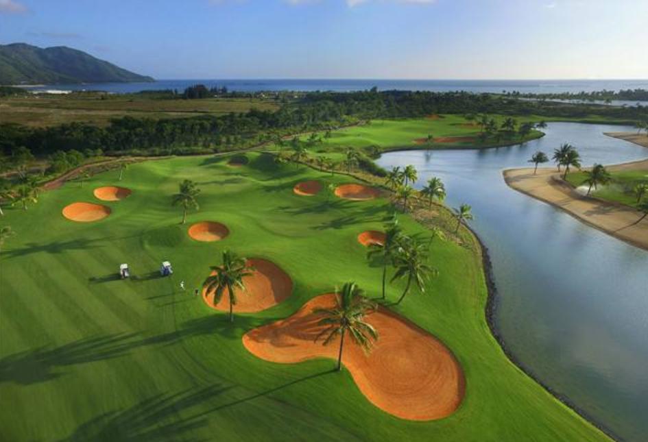 秋季种植牧草黑麦草,黑麦草种植效益