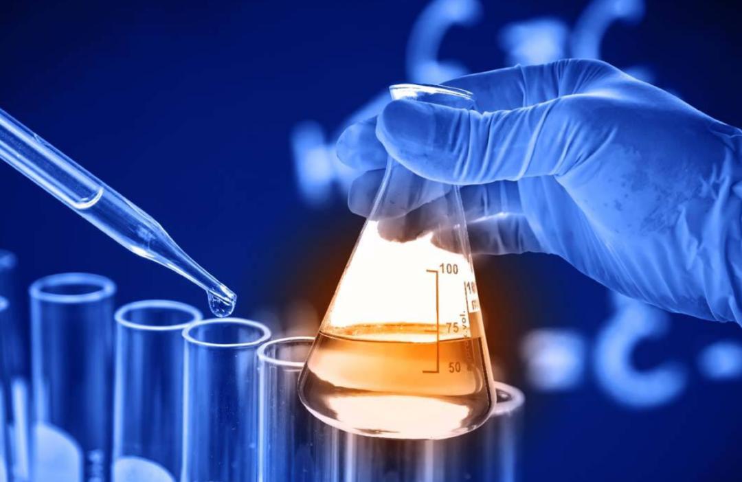 蓖麻子为什么成为了战略物资,蓖麻国家禁止吗