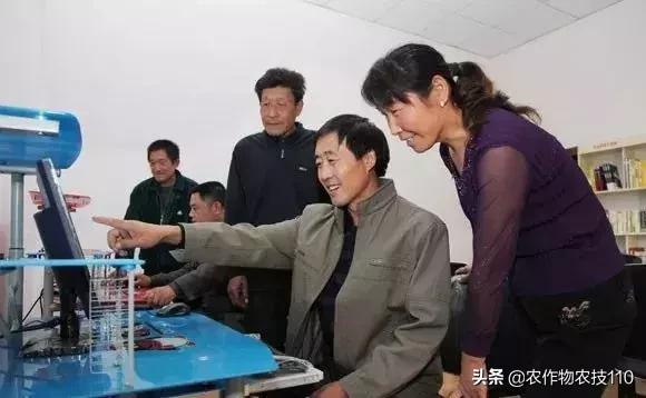 农村无本钱创业22种方法,农村创业100种商机