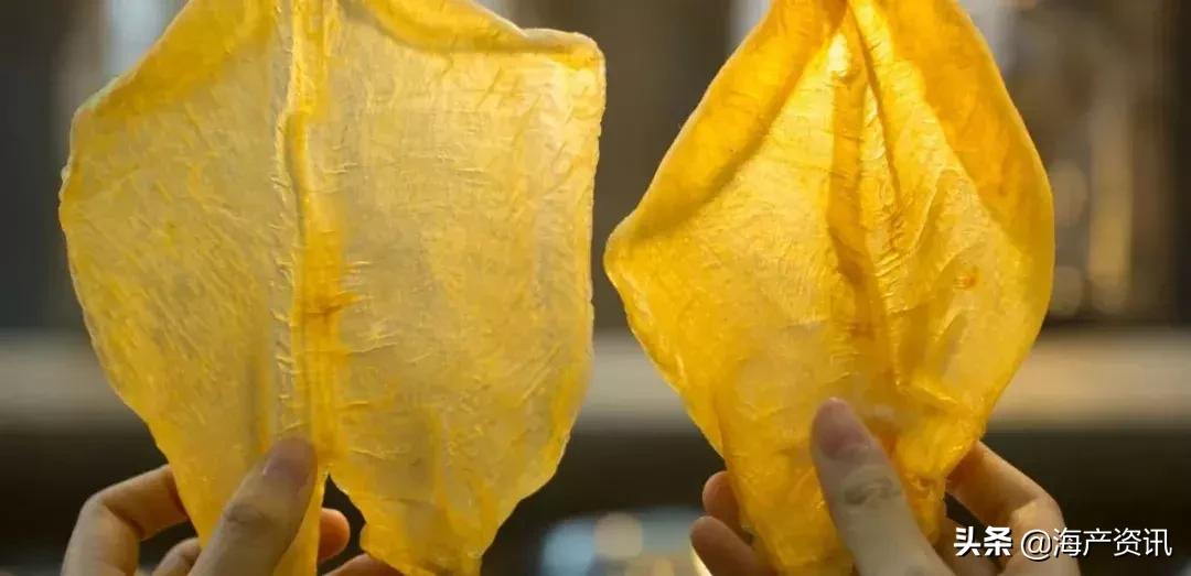 怎么区别花胶公母有教程,花胶公母区别方法图解