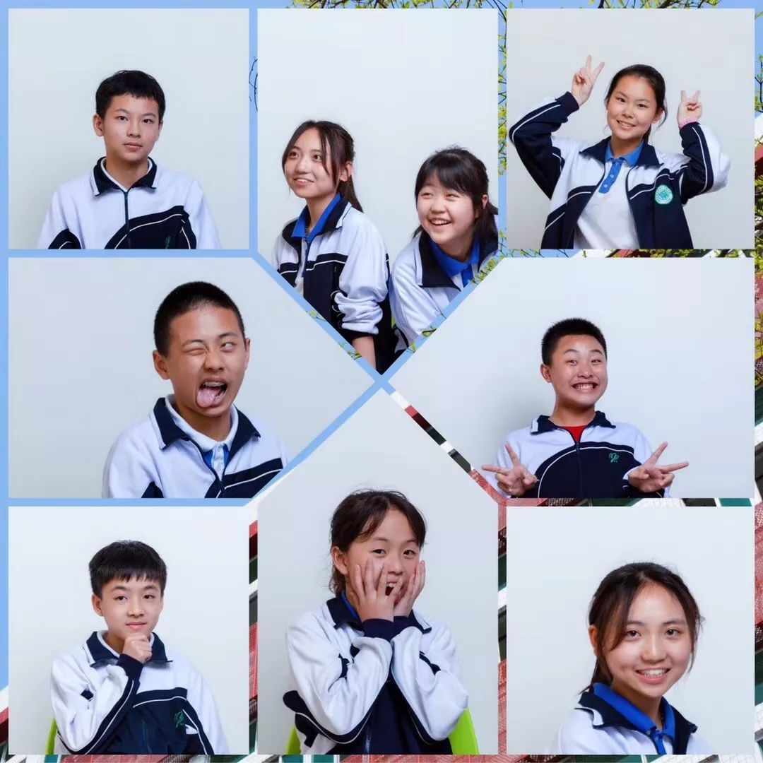 讯得达国际书院排名,讯得达国际书院官网