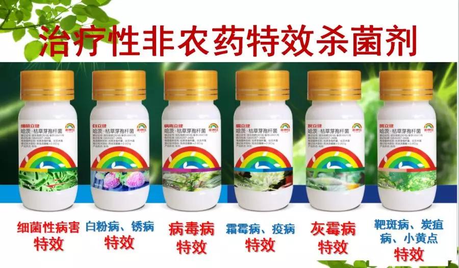 50种常用杀菌剂大全,五种杀菌剂使用注意事项有哪些