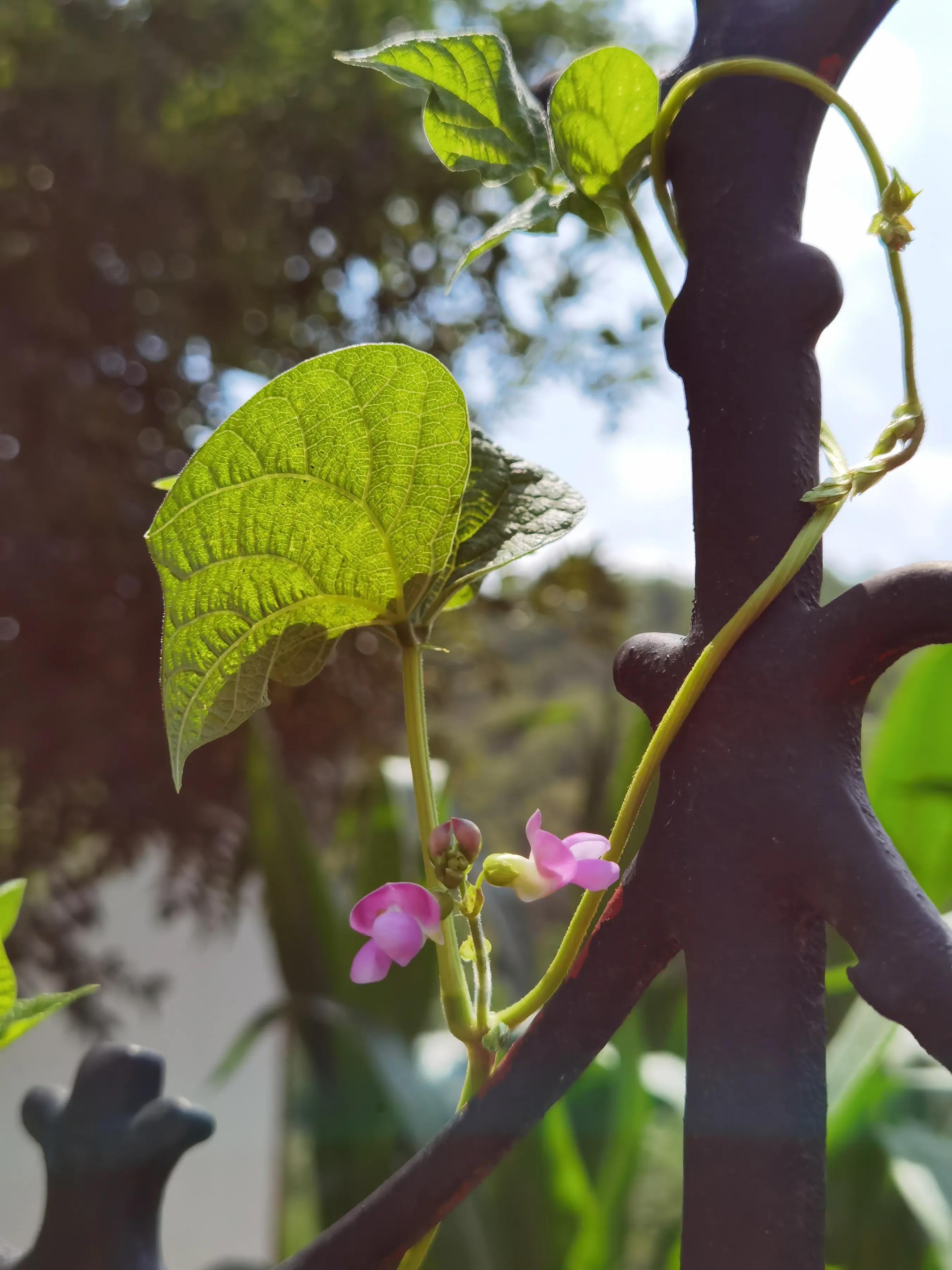 手机摄影手册圈友作品选第5期,手拍世界摄影交流平台