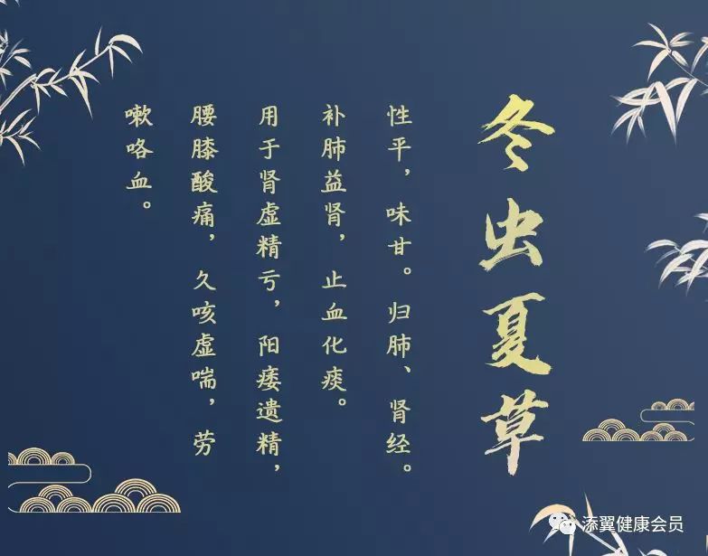 父母总是买保健品怎么办,父母买保健品劝不住怎么办