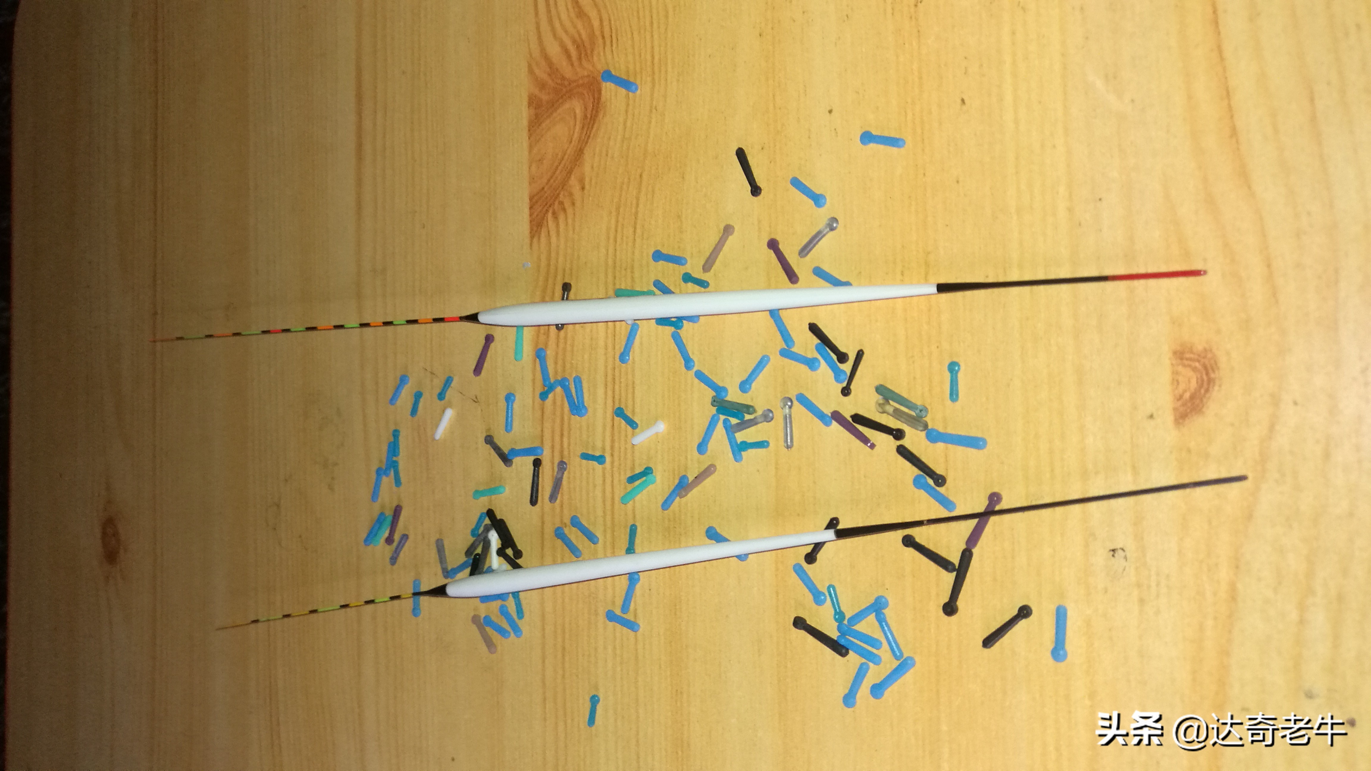 为什么说孔雀羽浮漂信号真实,孔雀羽浮漂是真的孔雀