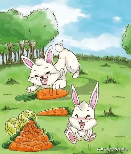 看图写话小白兔遇到什么困难,小白兔看图写话的故事怎么写