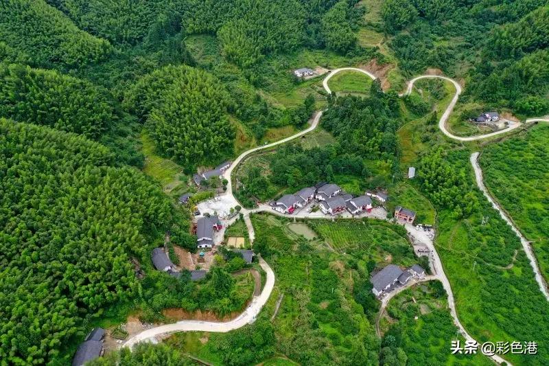 晚报记者去年拍了哪些好照片？今天晒最后一批金奖