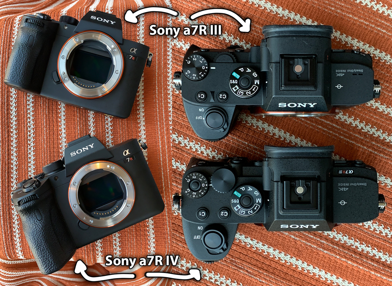 专业摄影无反相机推荐,无反相机入门推荐哪款