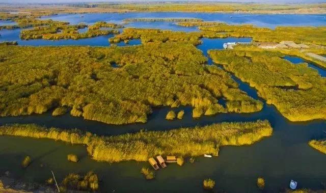 美不美，先看水！走进纳林湖，看巴彦淖尔水美