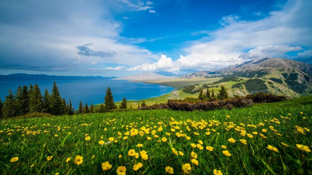 夏天的北疆美景,六月的北疆有多美