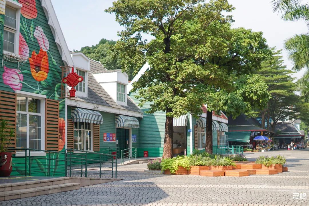 深圳周末打卡地点排行榜,深圳秋季打卡攻略