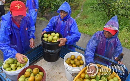 这一刻很温暖也很治愈短句,这一刻很暖怎么回话