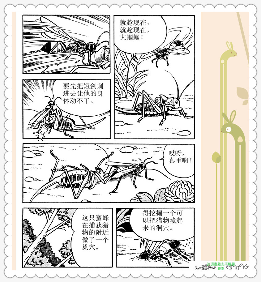 昆虫记法布尔动画片,昆虫记法布尔全套
