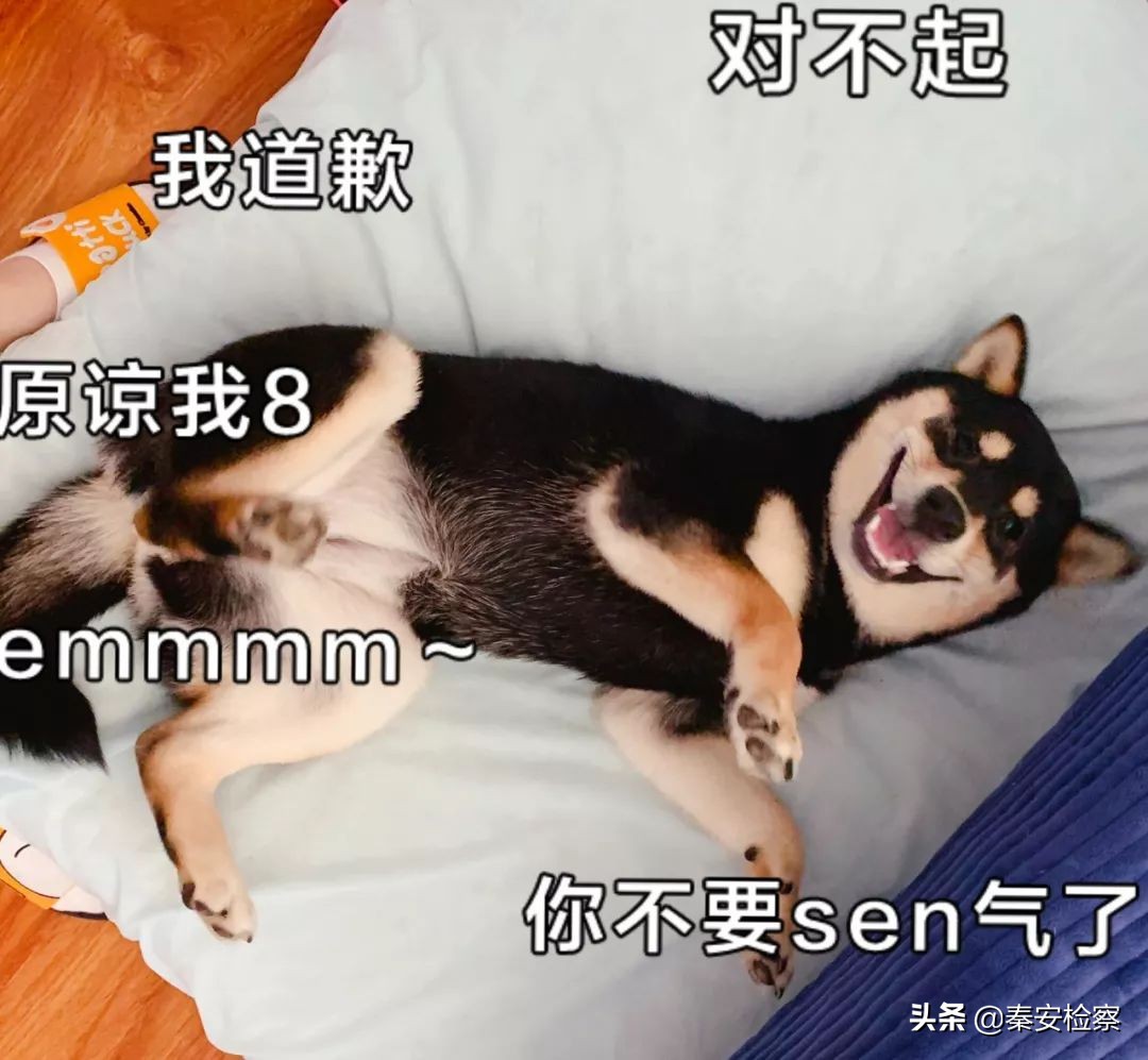 17岁青少年黑客,17岁少年黑客被捕