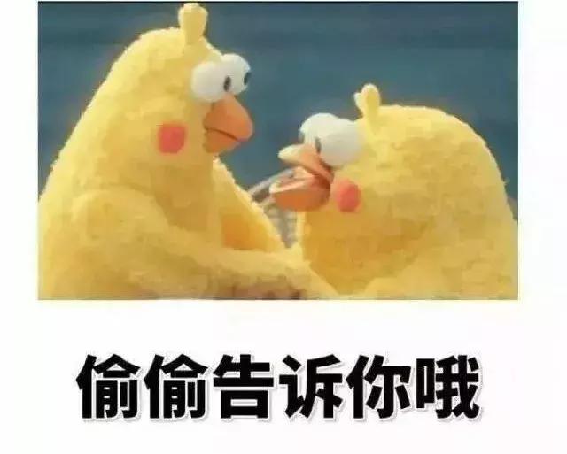 美国老布什总统逝世葬礼,美国前总统老布什跳伞