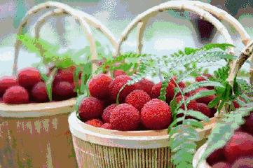 杨梅为什么成了网红水果,中国台州网红杨梅