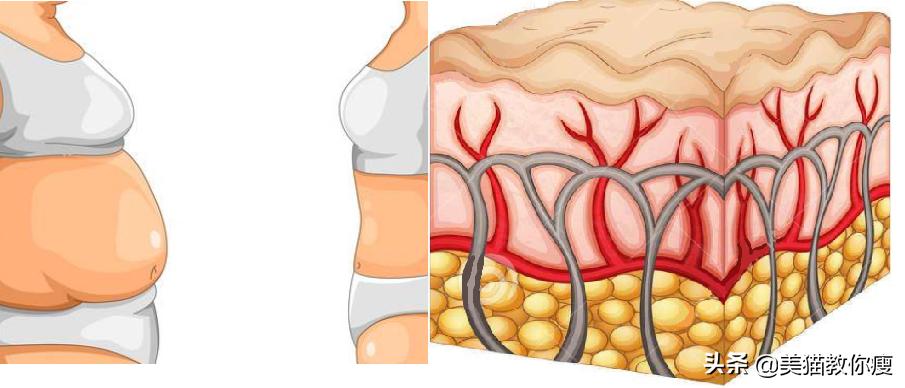 6个步骤，肌肉腿变筷子腿，你必须知道