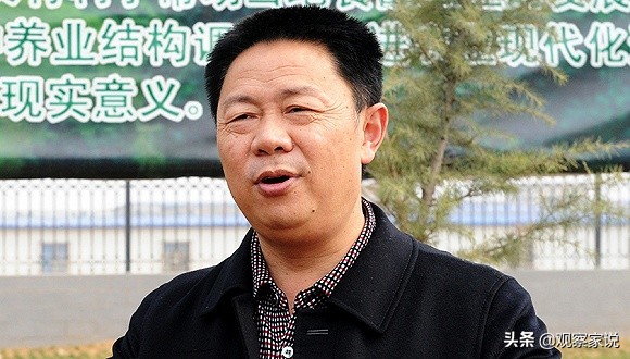 雏鹰退市价格,st雏鹰什么时候退市