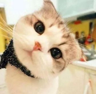 十大不值得推荐的护肤品品牌,口碑最好十大护肤品博主推荐