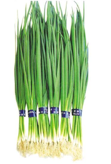 怎么用简单的食材做出最美味的菜,最简单的食材做成最美味的菜