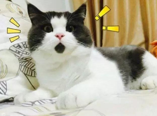 扫雷世界手游小游戏,扫雷世界游戏