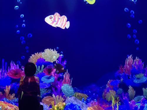 澳门和香港哪里购物更便宜,2022澳门购物攻略及必买清单