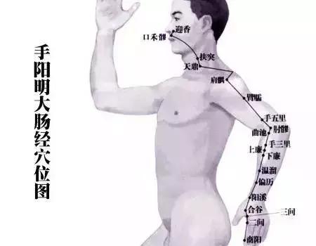 下身胖竟然是肝胆不好？你哪个部位胖？请对号入座