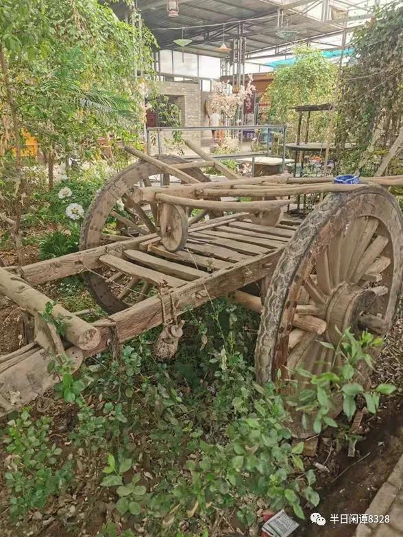 儿童散学归来早忙趁放纸鸢,儿童散学归来早忙趁东风放纸鸢