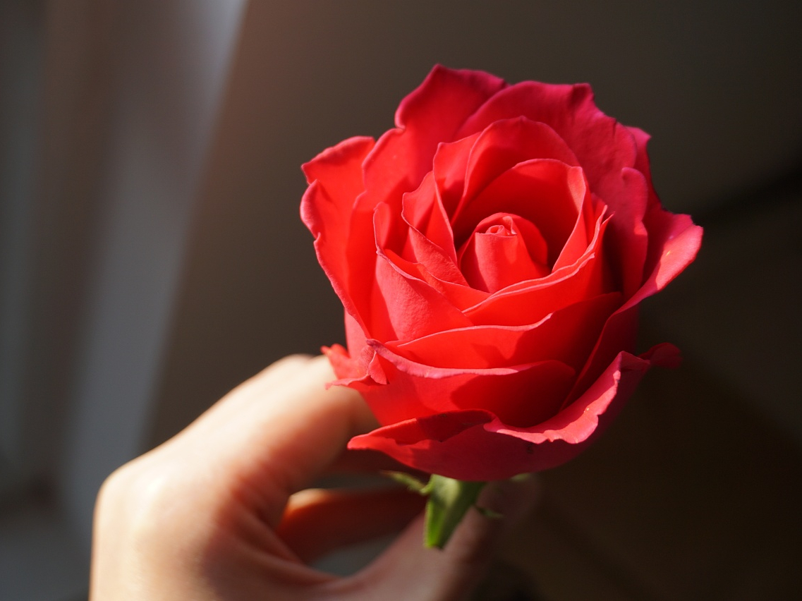 七夕节送什么好给女朋友,七夕节送女朋友什么礼物最有心意