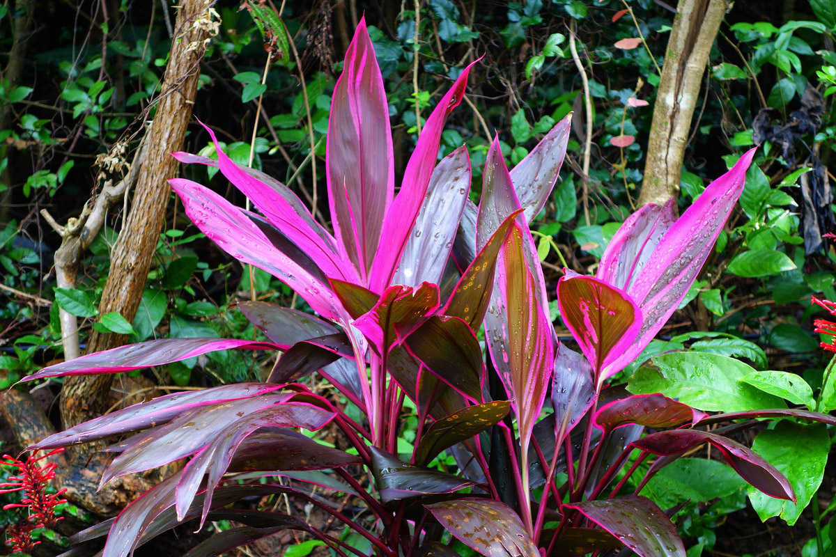 三亚三日游攻略必去景点,三亚除了呀诺达还有什么值得玩
