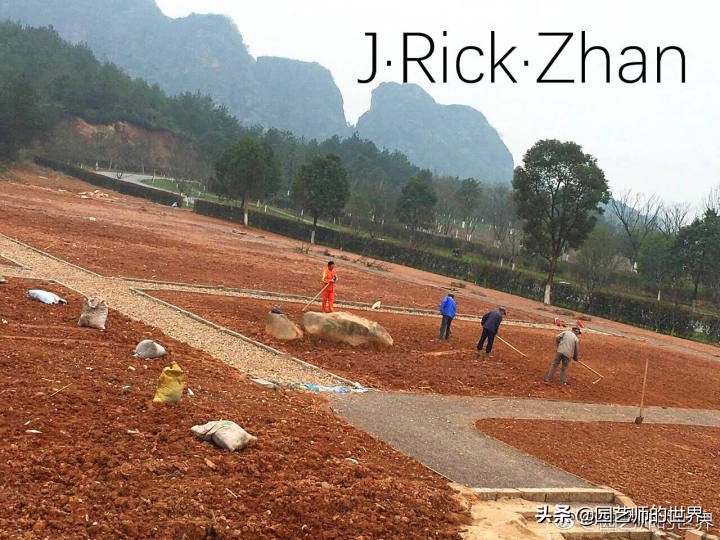 适合北方庭院种植的低矮草坪,家庭庭院怎样混搭种植草坪和蔬菜