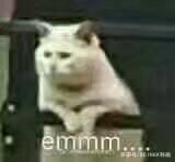 鍗氬＋閮藉湪鐢ㄧ殑绉戠爺sci缁樺浘鏁欑▼,sci缁樺浘鏍煎紡瑕佹眰