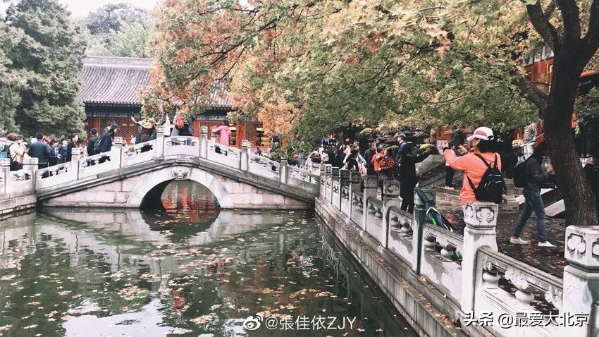 香山红叶几月去最好香山用预约吗,去北京香山看红叶别去爬山吗