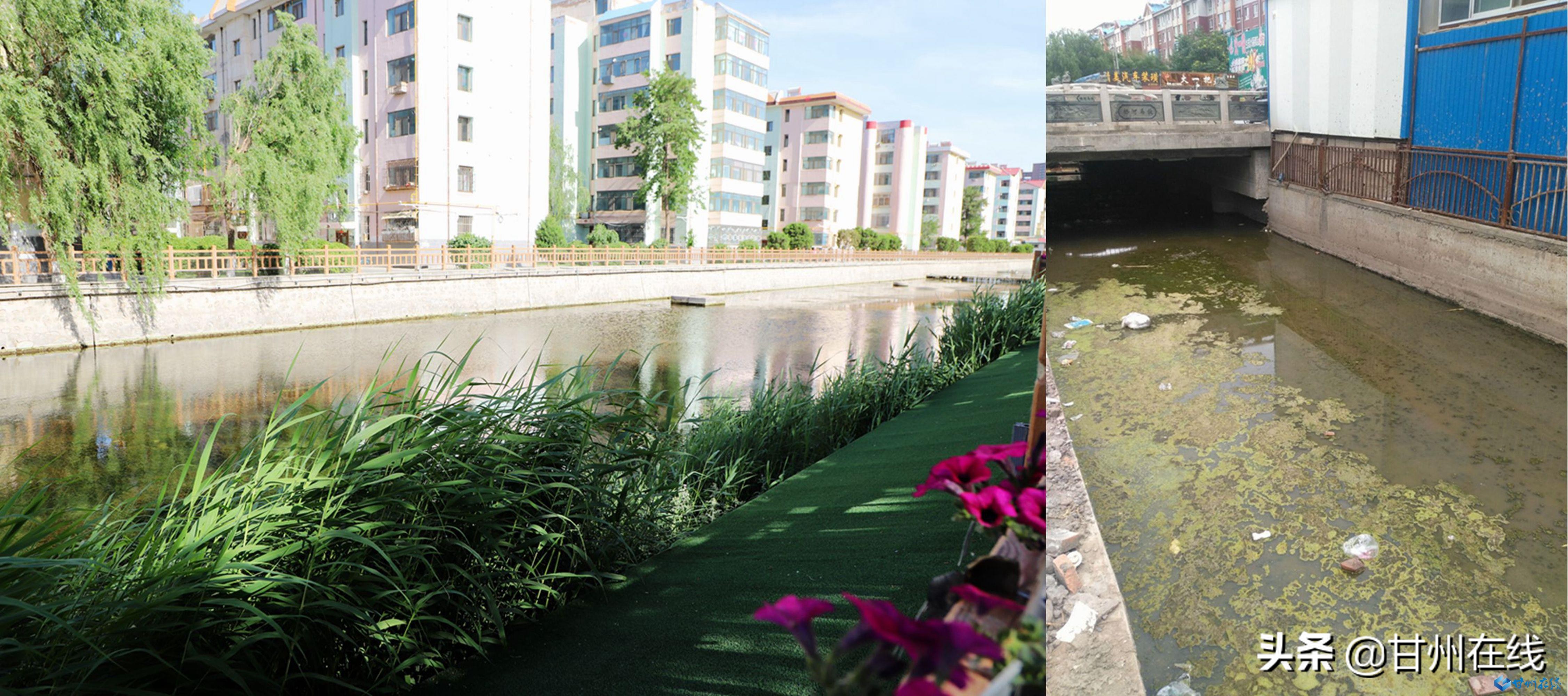 昔日“龙须沟”如今风景线——甘州区黑臭水体整治纪实