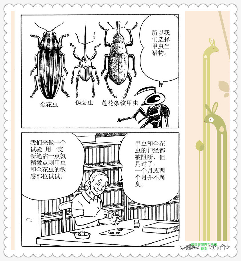 昆虫记法布尔动画片,昆虫记法布尔全套