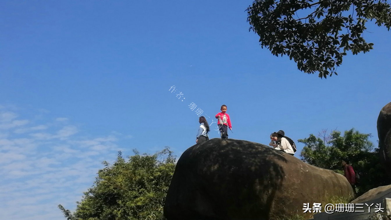 广州有座像老虎的山,广州有一座山是圆形的